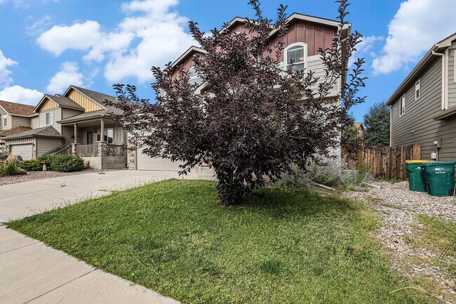 Building Photo - Nice Big Home, close to Ft Carson, Updated...