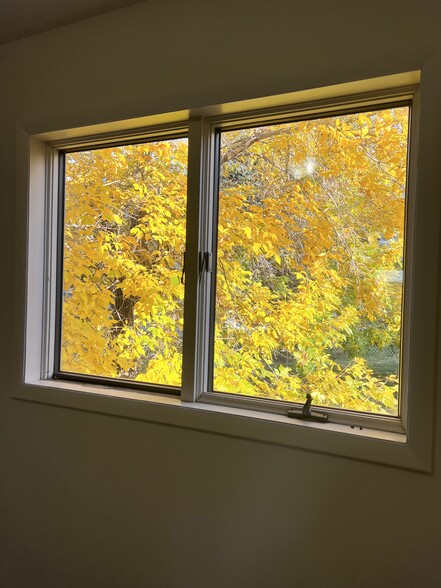 Kitchen Window - 219 14th Ave S