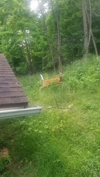 Building Photo - 718 Cliff St