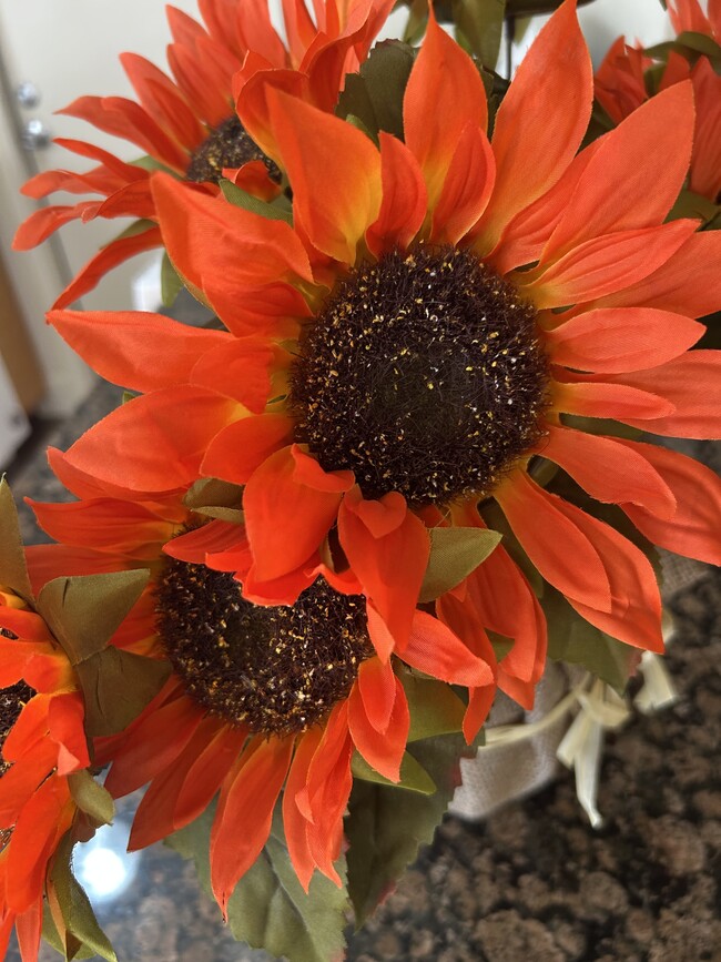 Building Photo - 3000 Keller St