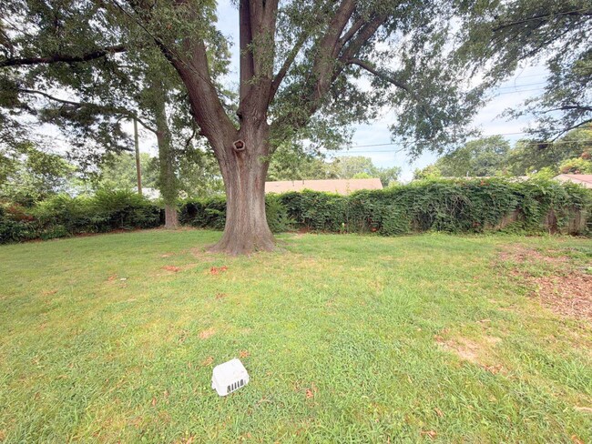 Building Photo - 4066 Berrywood Ave