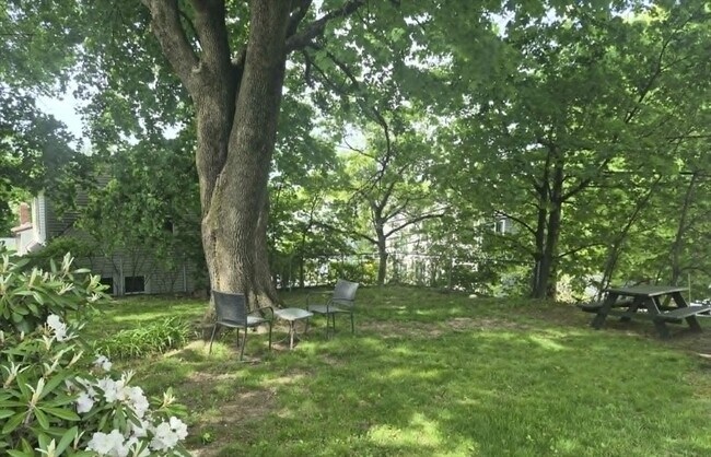 Building Photo - 445 Beech St