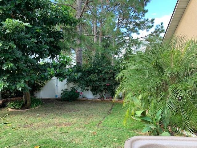 Building Photo - 255 Cello St