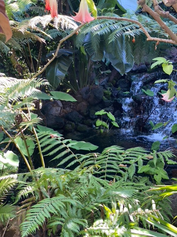 Building Photo - 11647 Ayres Ave