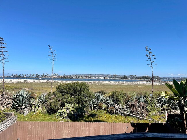 Building Photo - Furnished Beach front House in OB One Month Minimum Rental