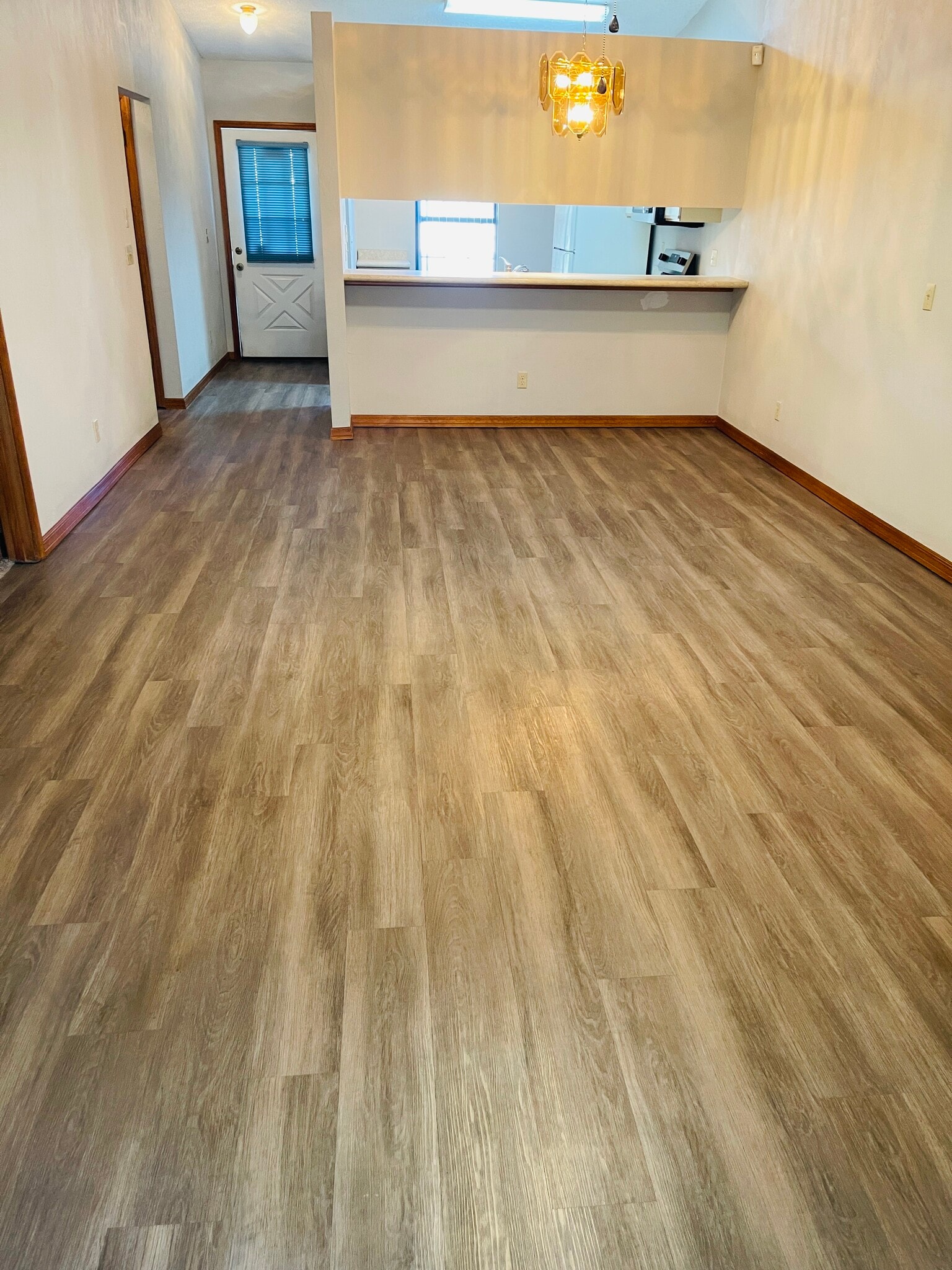 Building Photo - 1113 Oak Forest Cir