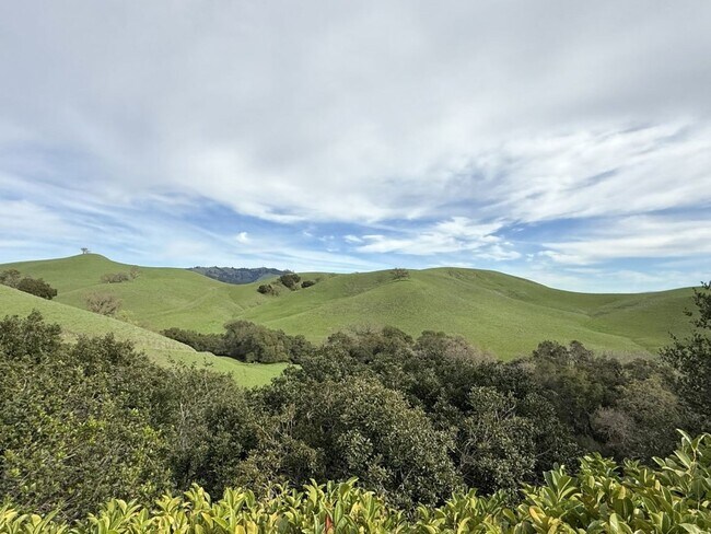 Building Photo - NEW PRICE ! Beautiful custom one story estate located on one of the most desirable streets in Bla...