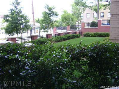 Building Photo - 300 Mamaroneck Ave