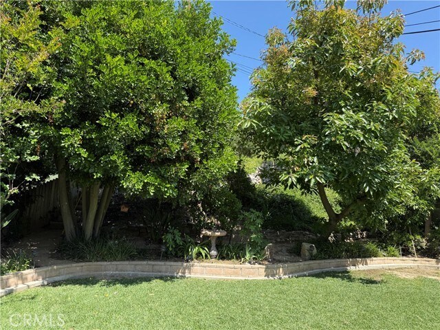 Building Photo - 2414 Sarandi Grande Dr