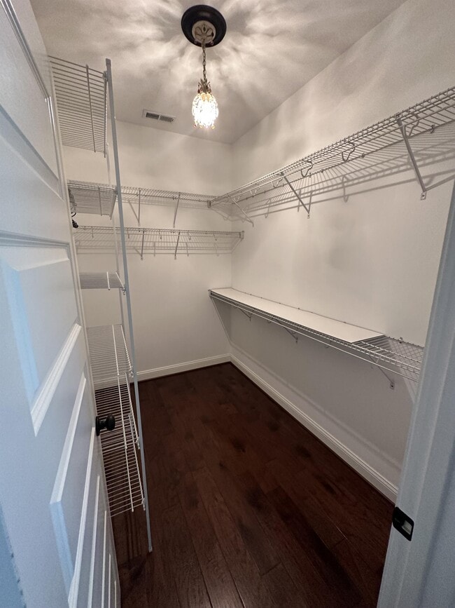 Building Photo - 1701 Sassafras Ct