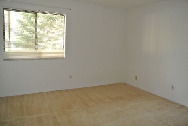 Building Photo - 1 Bedroom 1 Bath in Woodside Village