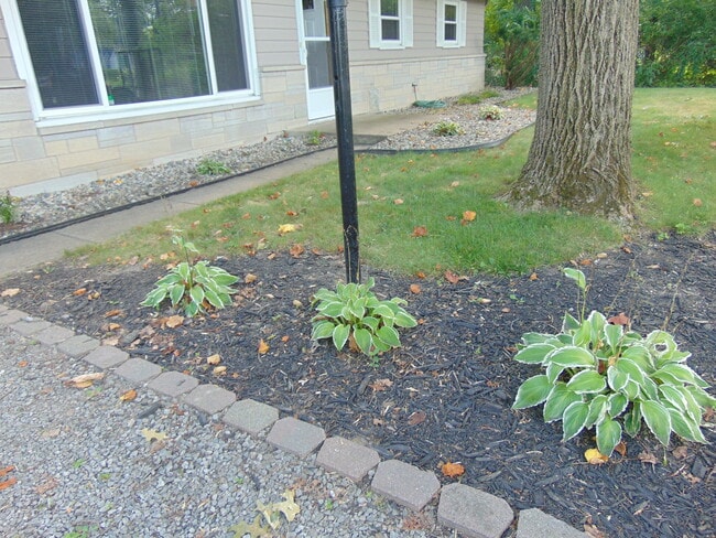 Primary Photo - 5333 Bluffton Rd