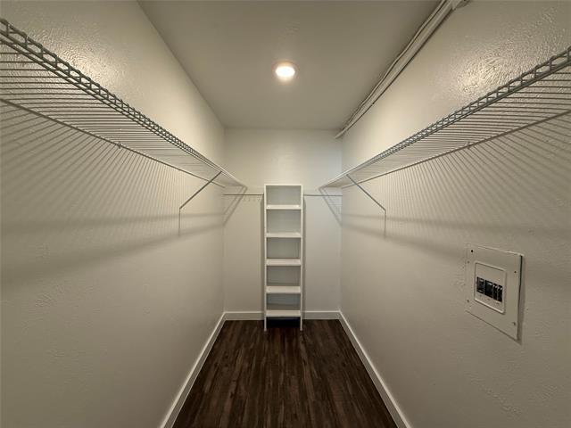 Building Photo - 3627 Almazan Dr