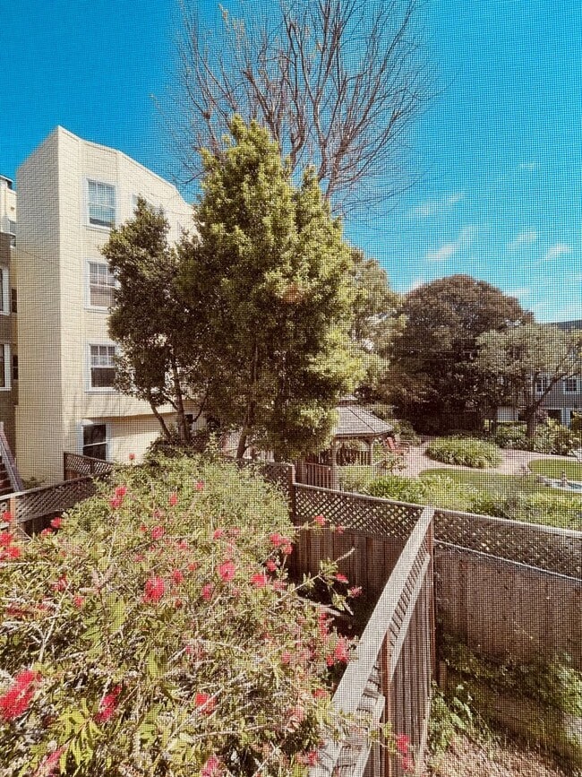 Building Photo - Beautiful 1 Bedroom located in one of San ...
