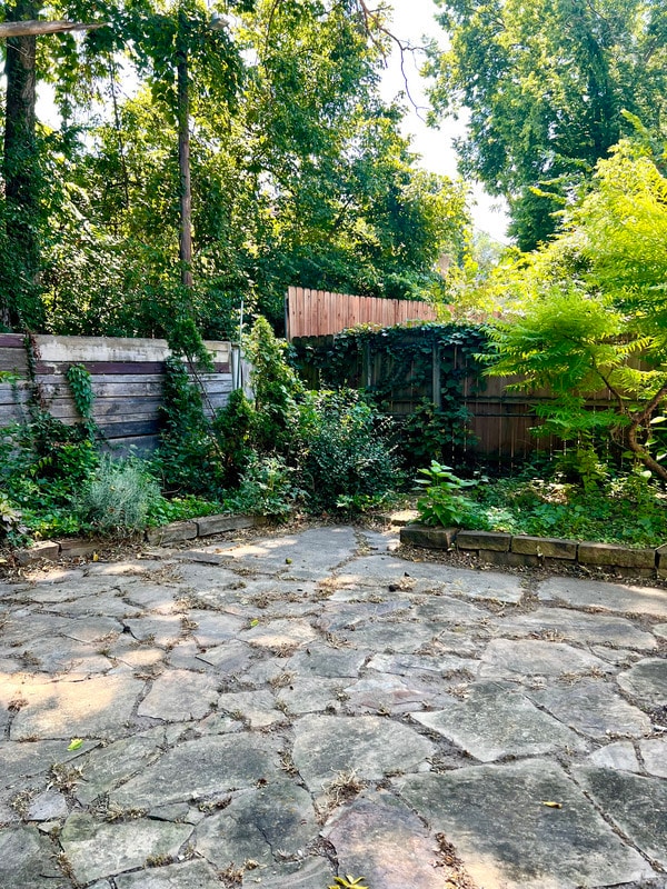Building Photo - 4258 Williamson Pl