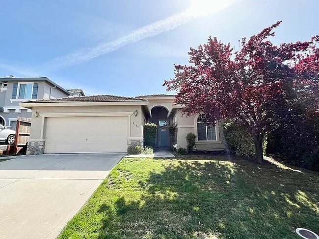 Primary Photo - Beautiful One-Level Ranch-Style Home in Ro...