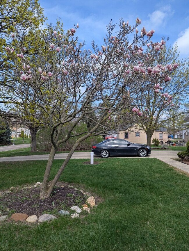 Building Photo - 3 bedroom in Grand Blanc Twp. - Available furnished or unfurnished