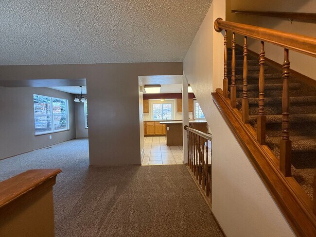 Building Photo - Beautiful Briargate Living: 5 Bedrooms, Walk-In Closets & 5-Piece Suite