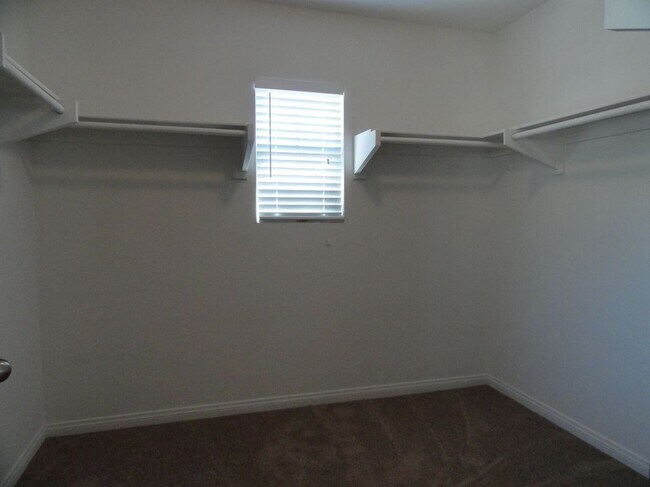 Building Photo - 4503 Bella Ct
