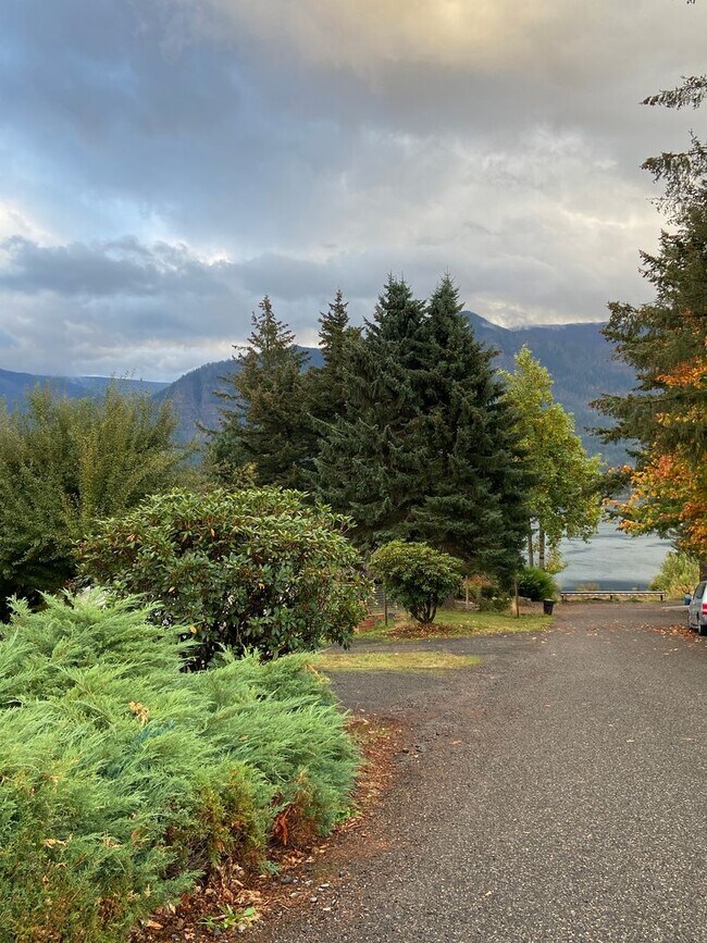 Building Photo - Charming Mid Century Home with Stunning River Views in Stevenson, WA
