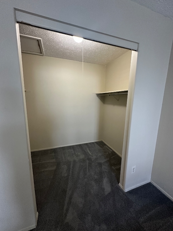 Building Photo - 2523 Broadleaf Ct