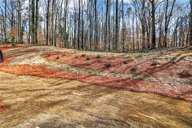 Building Photo - 2818 Georgia Aster Way