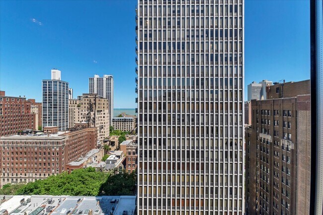 Building Photo - 1221 N Dearborn Pkwy
