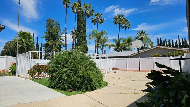 Building Photo - Mid Century Modern - 4 Bedroom Carlton Terrace Pool Home