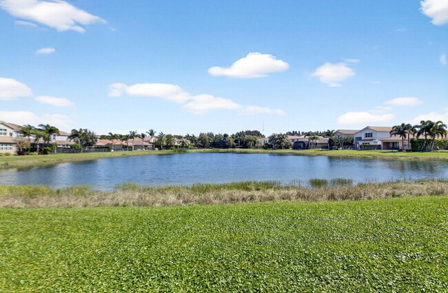 Building Photo - 10562 Cape Delabra Ct