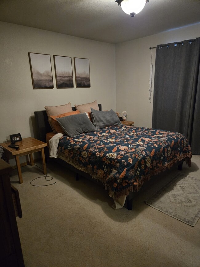 Building Photo - 4137 Cotopaxi Dr