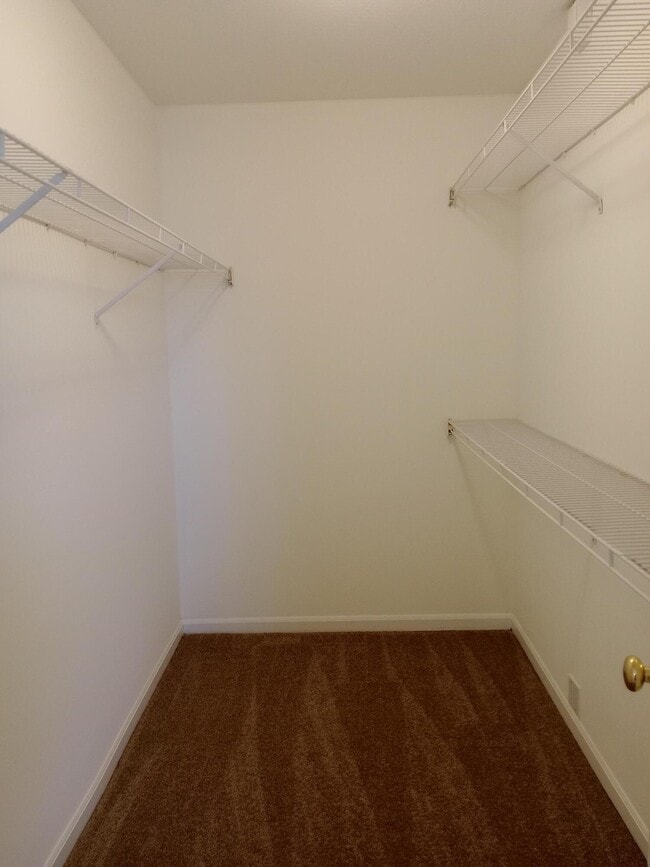 Building Photo - 3506 Delmar Ct