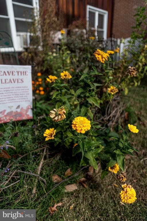 Building Photo - 116 S Union Ave