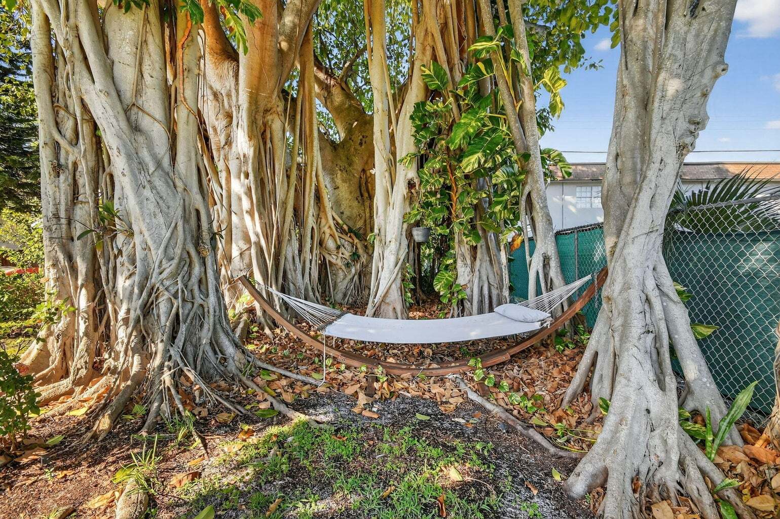 Building Photo - 1511 S Palmway