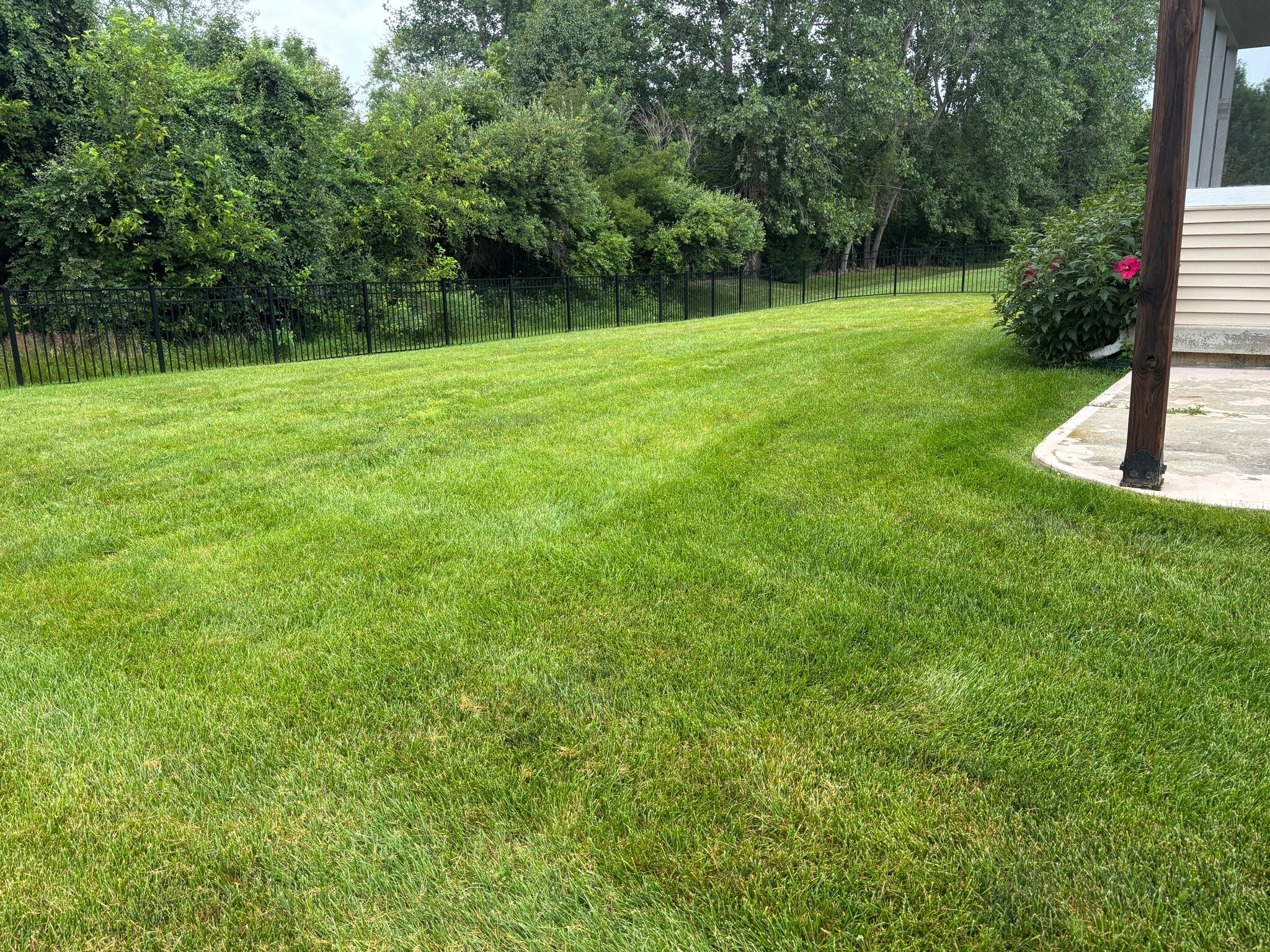 Fenced in Backyard - 6648 Wilmot Ln