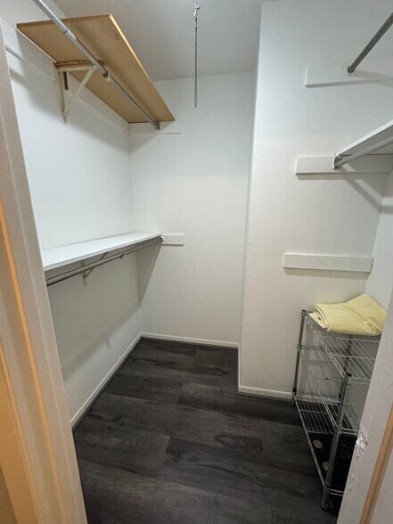 Master Walk in Closet - 1601 Thames Ct