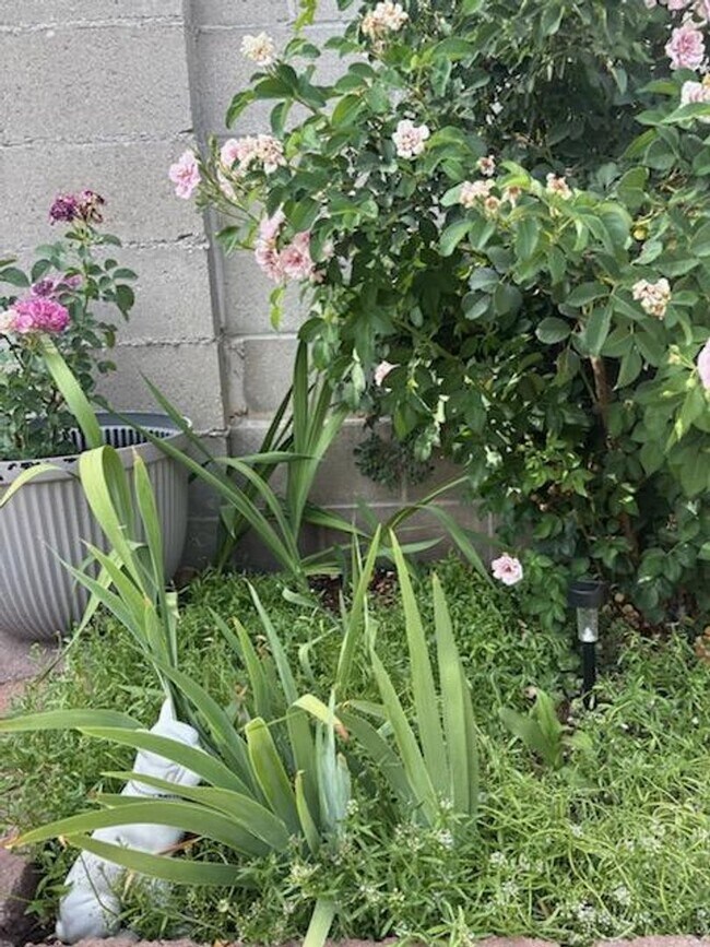 Building Photo - UNSER/LADERA 2 Bedroom  2 Bath  2 car gara...