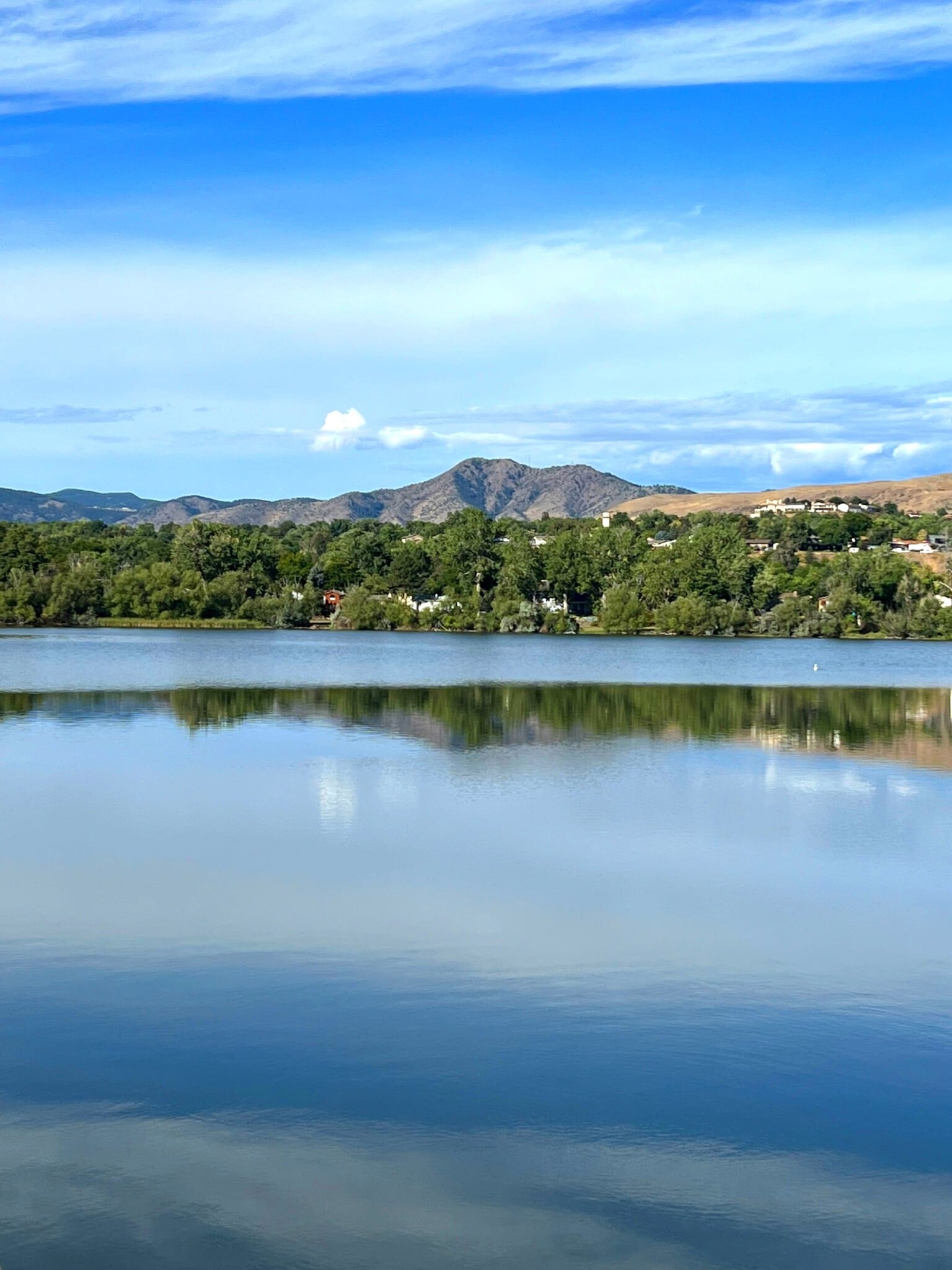 Building Photo - 1008 S Miller St