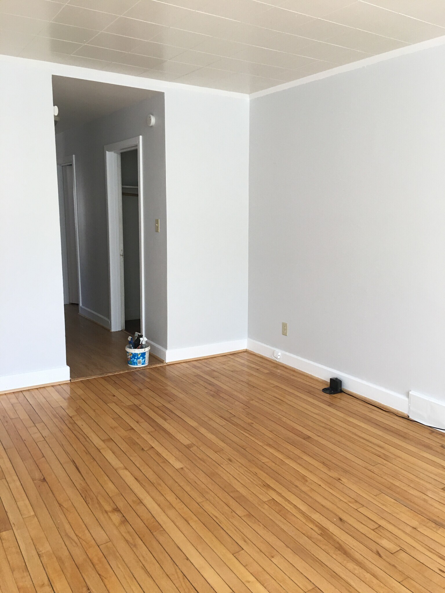 Living room 204 - 204 E 4th St