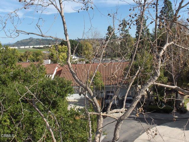 Building Photo - 2623 Antonio Dr