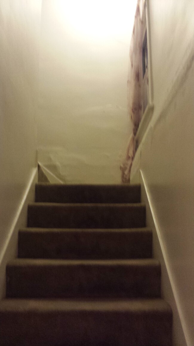 Stairways leading to 2nd floor. - 2419 Saranac Ave