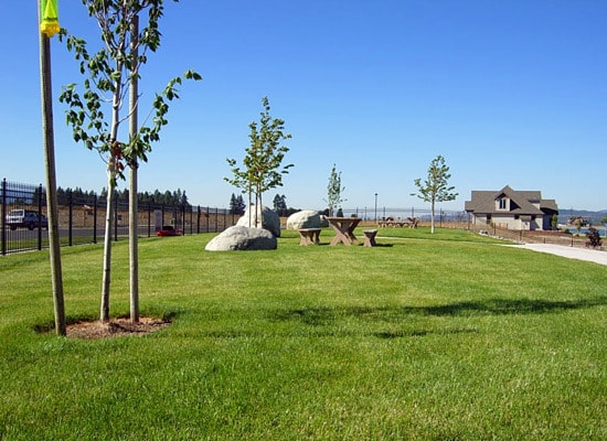 Building Photo - Radiant Lake Waterfront Home