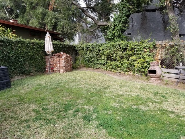 Back Yard - 741 Elmira St