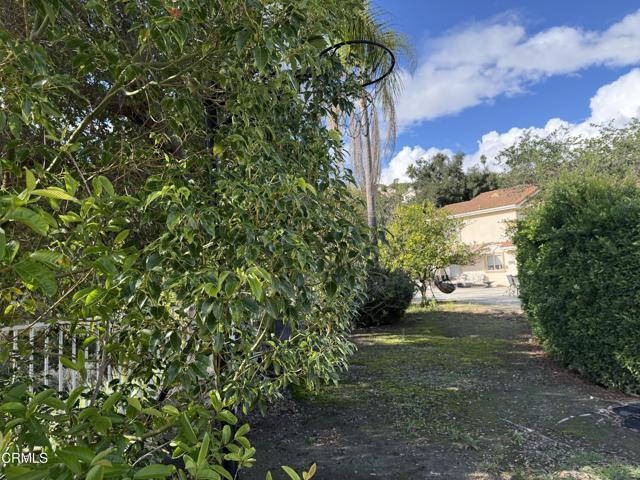 Building Photo - 833 Calle La Primavera