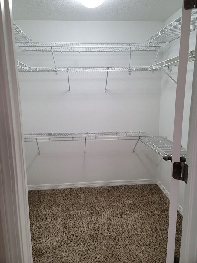Building Photo - Beautiful Townhome in the Heart of New Tampa!