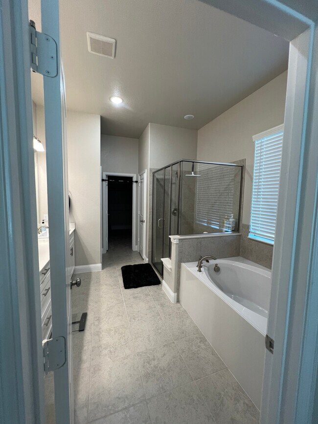 Master Bathroom - 1610 Charismatic Ct
