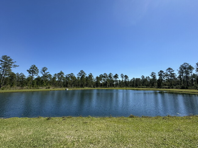 Building Photo - Village Park - Lake Asbury