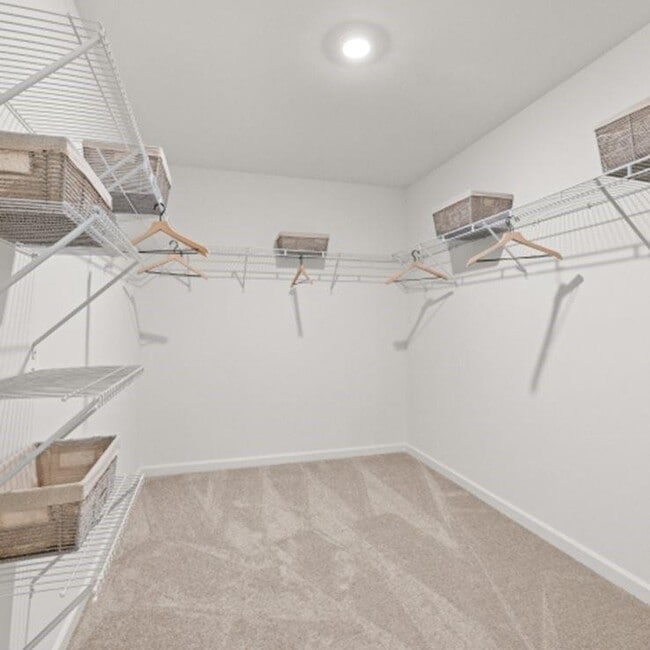 Building Photo - 278 Blue Dragon Dr