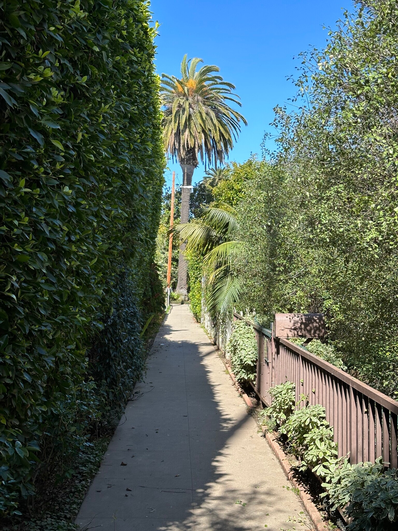 nearby walk street - 1615 Shell Ave