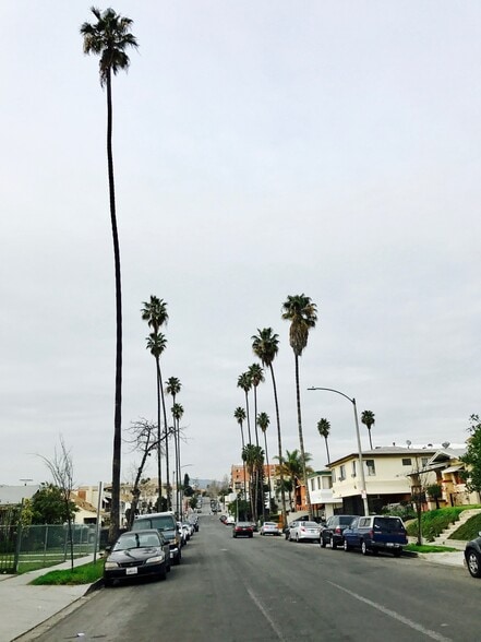 LA streets lined with palm strees - 136 N Mariposa Ave