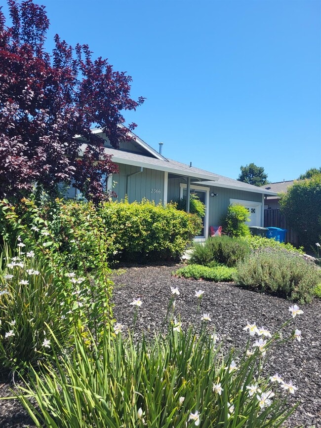 Building Photo - 2366 Pinercrest Dr
